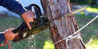 Best Soil Testing and Treatment  in Mbrian Park, CA