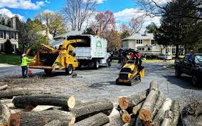 Best Utility Line Clearance  in Mbrian Park, CA