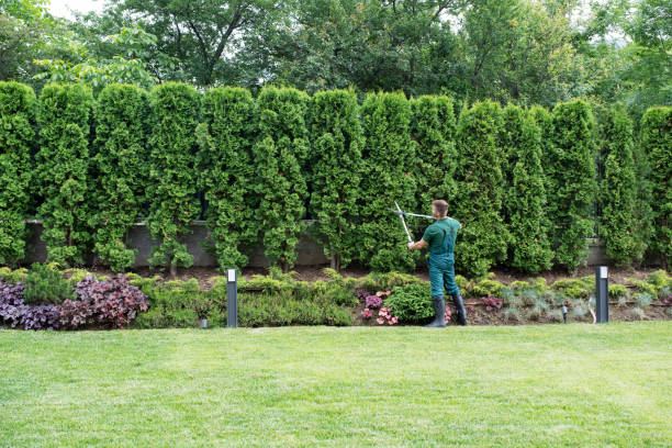 Best Weed Control  in Mbrian Park, CA