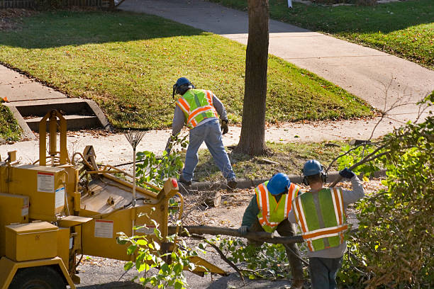 Best Aeration Services  in Mbrian Park, CA