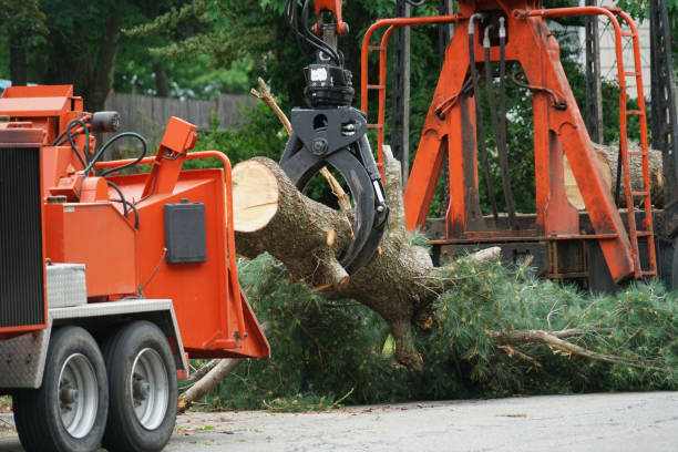 Best Lawn Grading and Leveling  in Mbrian Park, CA
